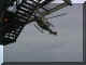chopper landing on platform.jpg (38424 bytes)